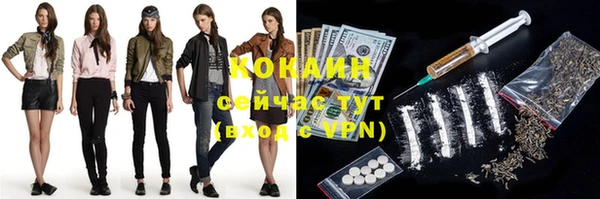индика Беломорск