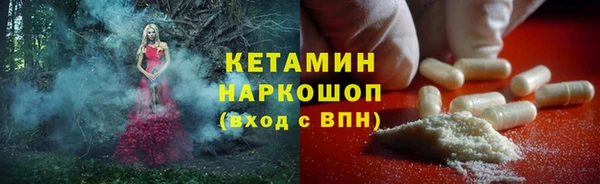 индика Беломорск
