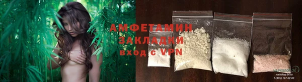 индика Беломорск