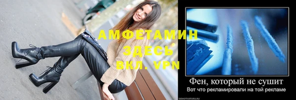 индика Беломорск