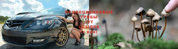 индика Беломорск