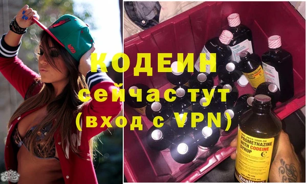 индика Беломорск