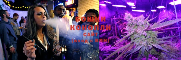 индика Беломорск