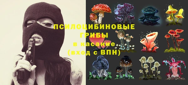 мяу мяу мука Белоозёрский