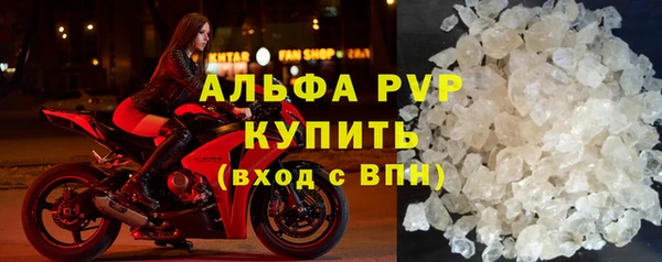 индика Беломорск