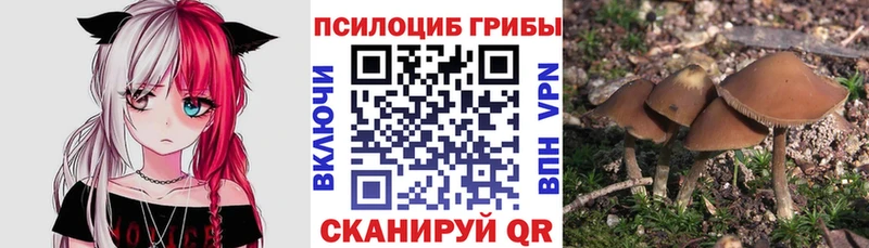 мега зеркало  Кирс  Галлюциногенные грибы мухоморы  что такое  