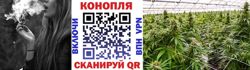 как найти закладки Кирс Бошки марихуана сатива